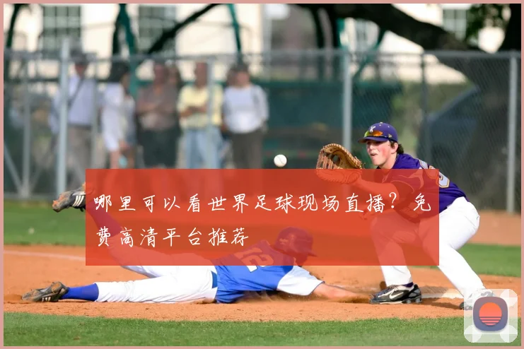 哪里可以看世界足球现场直播？免费高清平台推荐