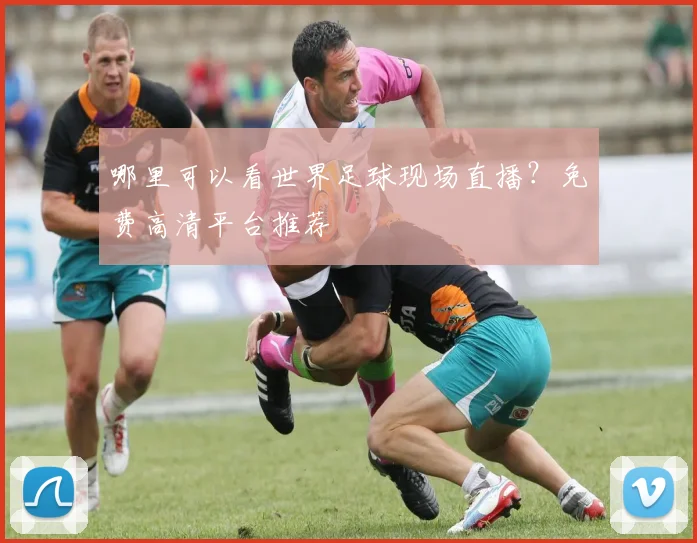 哪里可以看世界足球现场直播?免费高清平台推荐